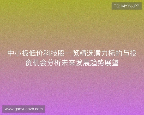 中小板低价科技股一览精选潜力标的与投资机会分析未来发展趋势展望